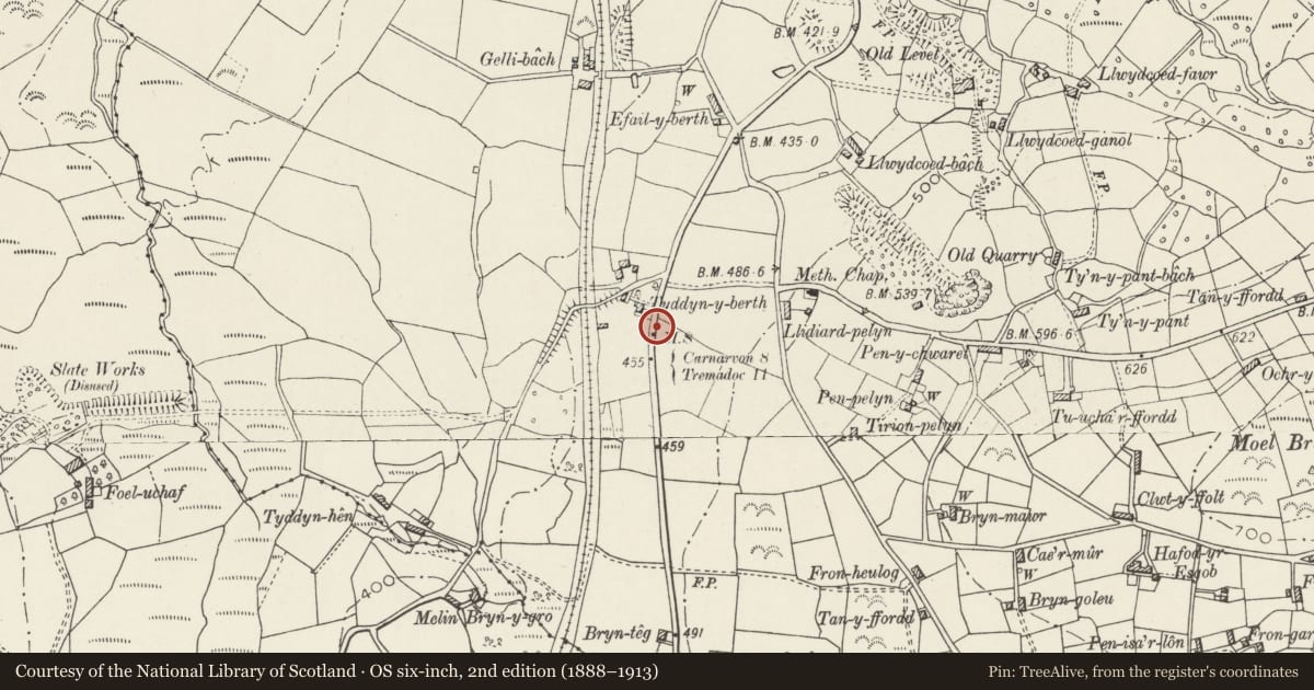 Ordnance Survey six-inch map, 2nd edition (1888–1913) covering the location of Milestone, Llanllyfni, Gwynedd, with a pin at the register's coordinates