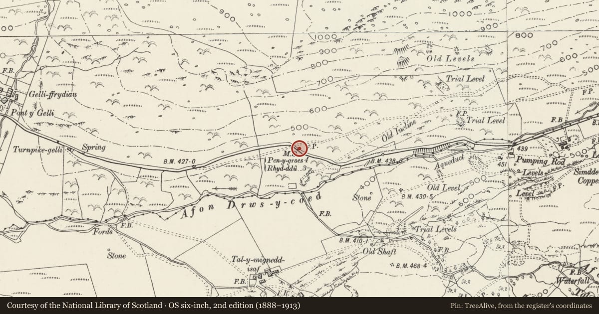 Ordnance Survey six-inch map, 2nd edition (1888–1913) covering the location of Milestone, Llanllyfni, Gwynedd, with a pin at the register's coordinates