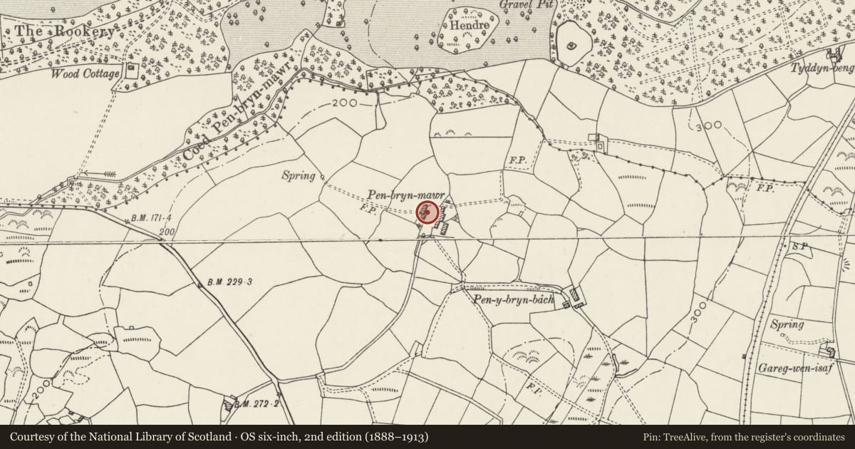 Ordnance Survey six-inch map, 2nd edition (1888–1913) covering the location of Penbryn Mawr, Llanllyfni, Gwynedd, with a pin at the register's coordinates