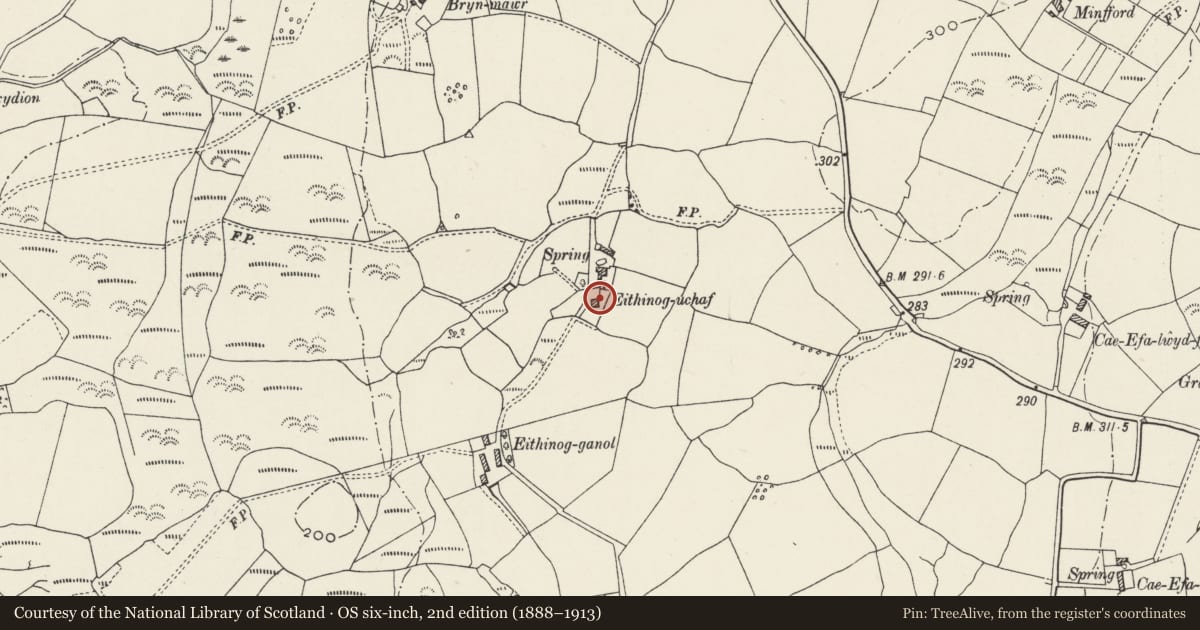 Ordnance Survey six-inch map, 2nd edition (1888–1913) covering the location of Eithinog-uchaf, Llanllyfni, Gwynedd, with a pin at the register's coordinates