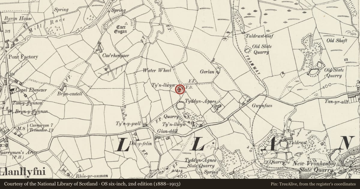 Ordnance Survey six-inch map, 2nd edition (1888–1913) covering the location of Tyn-llwyn, Llanllyfni, Gwynedd, with a pin at the register's coordinates