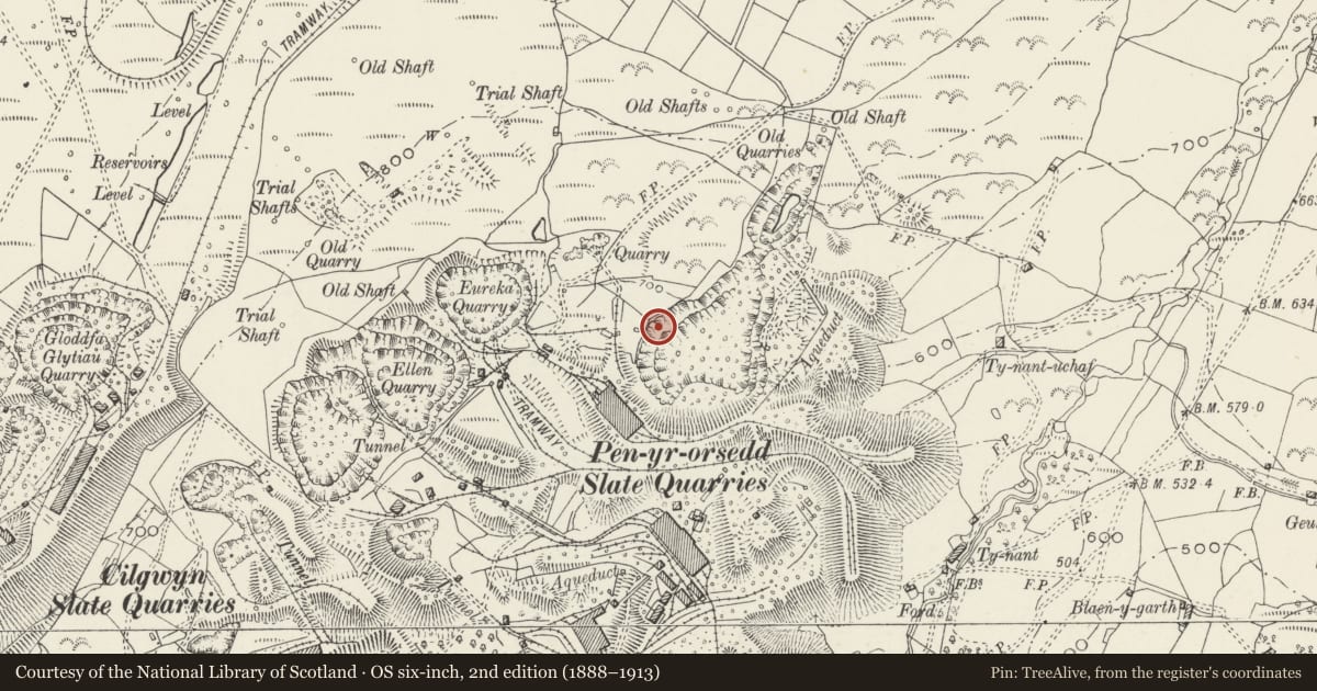 Ordnance Survey six-inch map, 2nd edition (1888–1913) covering the location of Engine House, Llanllyfni, Gwynedd, with a pin at the register's coordinates