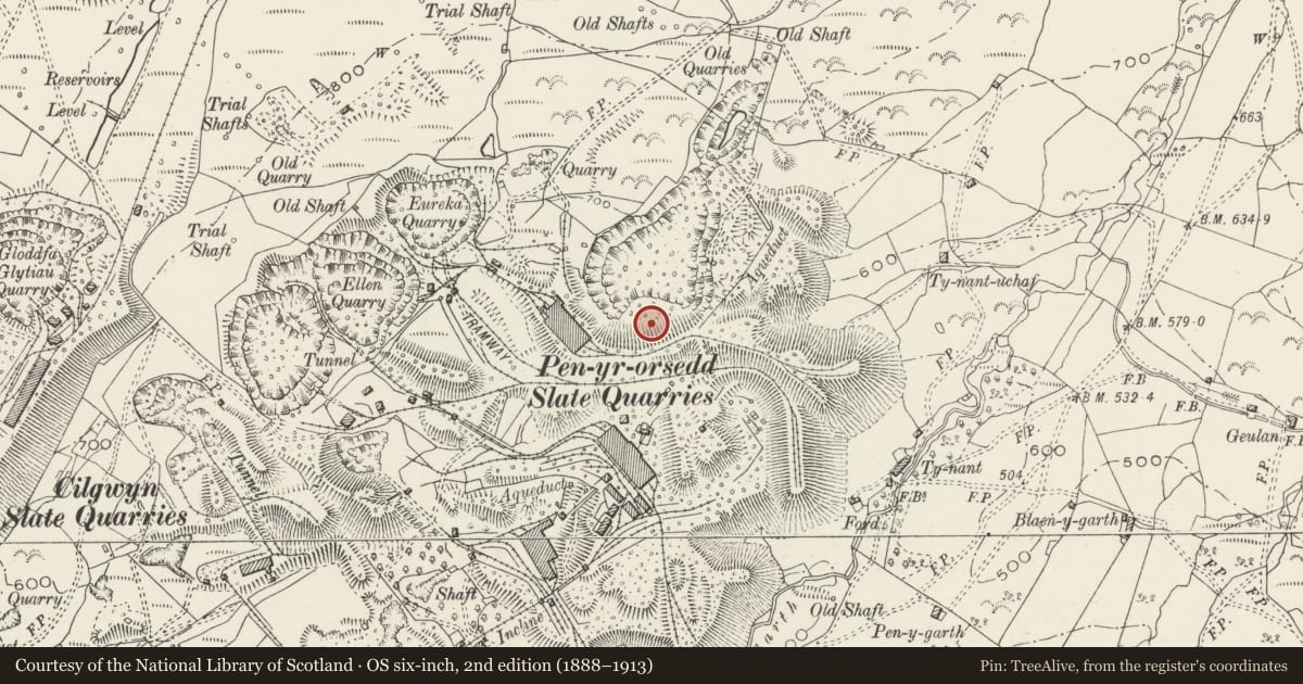 Ordnance Survey six-inch map, 2nd edition (1888–1913) covering the location of Winding house, Llanllyfni, Gwynedd, with a pin at the register's coordinates