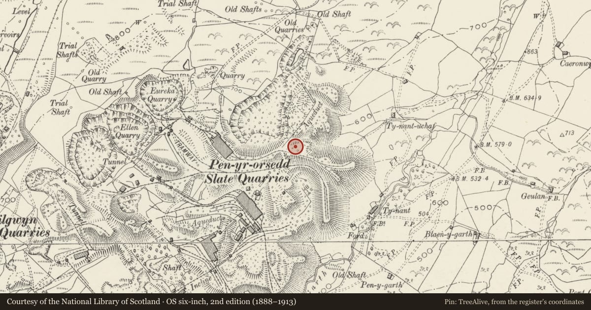 Ordnance Survey six-inch map, 2nd edition (1888–1913) covering the location of Weighbridge House, Llanllyfni, Gwynedd, with a pin at the register's coordinates