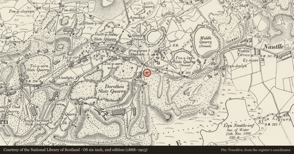 Ordnance Survey six-inch map, 2nd edition (1888–1913) covering the location of Strainer arches and retaining walls, Llanllyfni, Gwynedd, with a pin at the register's coordinates