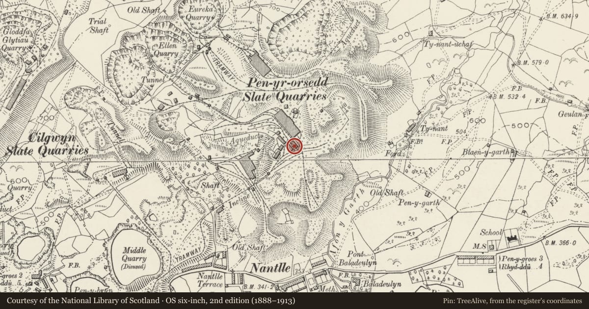 Ordnance Survey six-inch map, 2nd edition (1888–1913) covering the location of Workshops, Llanllyfni, Gwynedd, with a pin at the register's coordinates