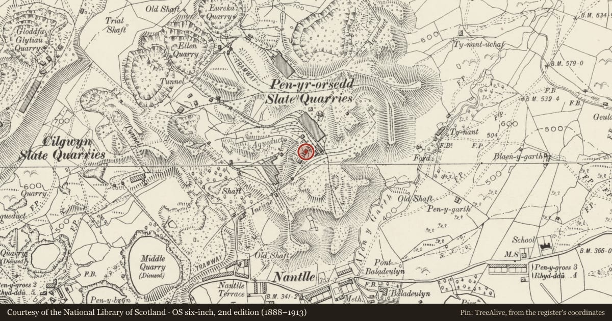 Ordnance Survey six-inch map, 2nd edition (1888–1913) covering the location of Quarry Offices, Llanllyfni, Gwynedd, with a pin at the register's coordinates