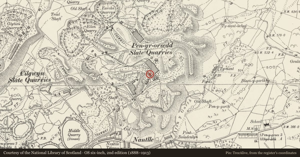 Ordnance Survey six-inch map, 2nd edition (1888–1913) covering the location of Store Building, Llanllyfni, Gwynedd, with a pin at the register's coordinates