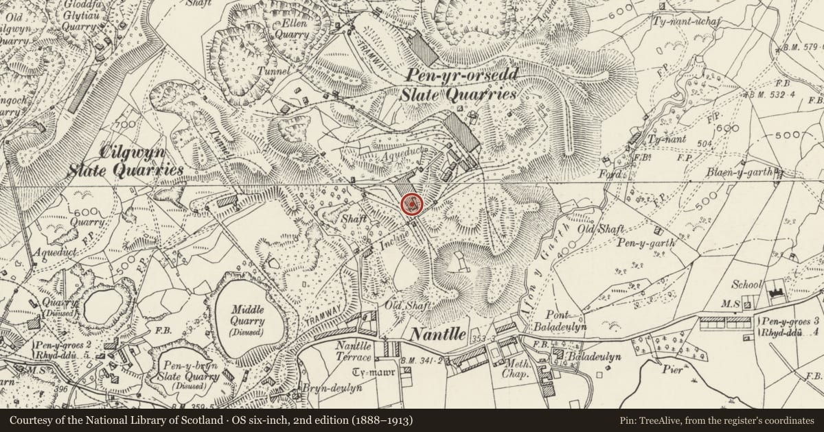 Ordnance Survey six-inch map, 2nd edition (1888–1913) covering the location of Slab Mill, Llanllyfni, Gwynedd, with a pin at the register's coordinates
