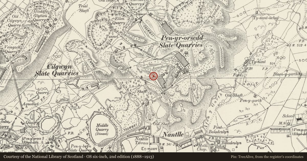 Ordnance Survey six-inch map, 2nd edition (1888–1913) covering the location of Ropeway Winding House (north-east), Llanllyfni, Gwynedd, with a pin at the register's coordinates