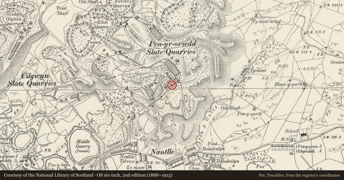 Ordnance Survey six-inch map, 2nd edition (1888–1913) covering the location of Quarry Hospital, Llanllyfni, Gwynedd, with a pin at the register's coordinates