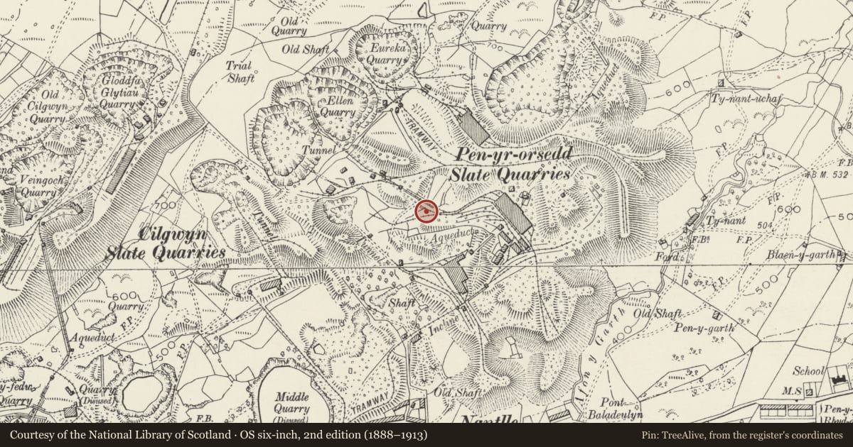 Ordnance Survey six-inch map, 2nd edition (1888–1913) covering the location of Compressor House, Llanllyfni, Gwynedd, with a pin at the register's coordinates
