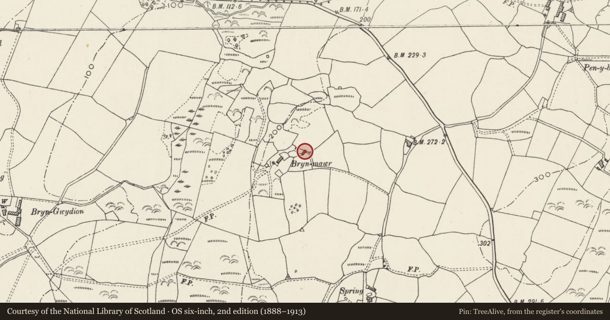 Ordnance Survey six-inch map, 2nd edition (1888–1913) covering the location of Bryn-mawr, Llanllyfni, Gwynedd, with a pin at the register's coordinates