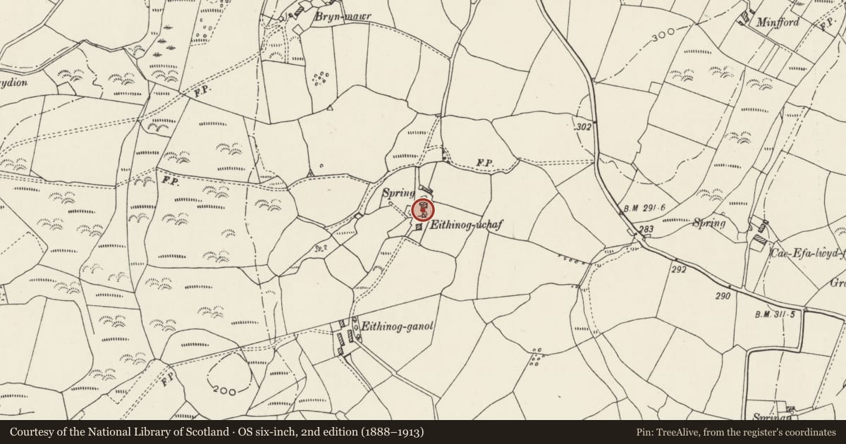 Ordnance Survey six-inch map, 2nd edition (1888–1913) covering the location of Former cottage at Eithinog-uchaf, Llanllyfni, Gwynedd, with a pin at the register's coordinates