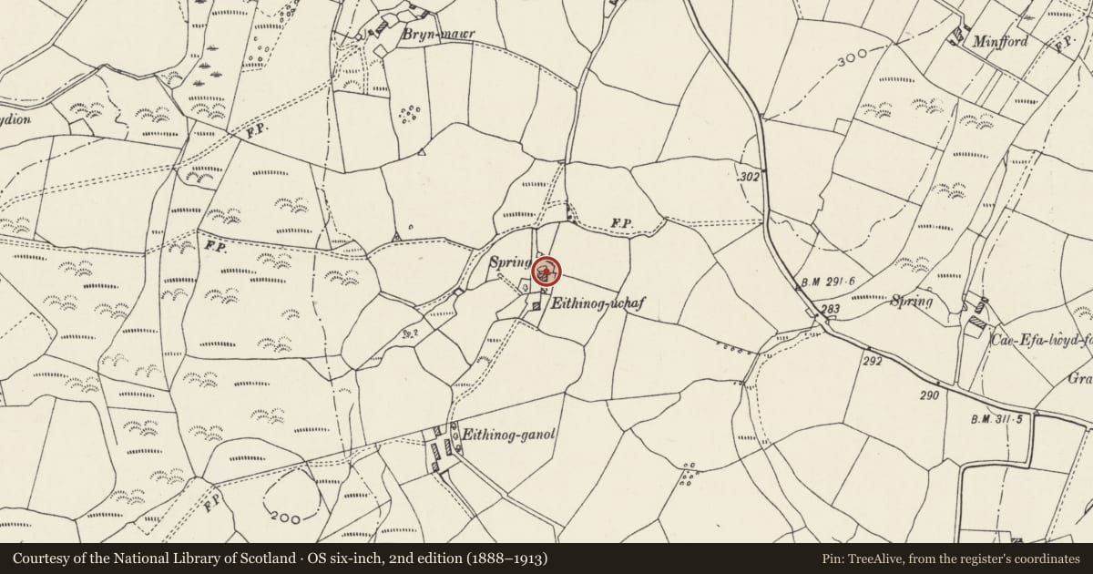 Ordnance Survey six-inch map, 2nd edition (1888–1913) covering the location of Cowhouse/granary and pigsties at Eithinog-uchaf, Llanllyfni, Gwynedd, with a pin at the register's coordinates