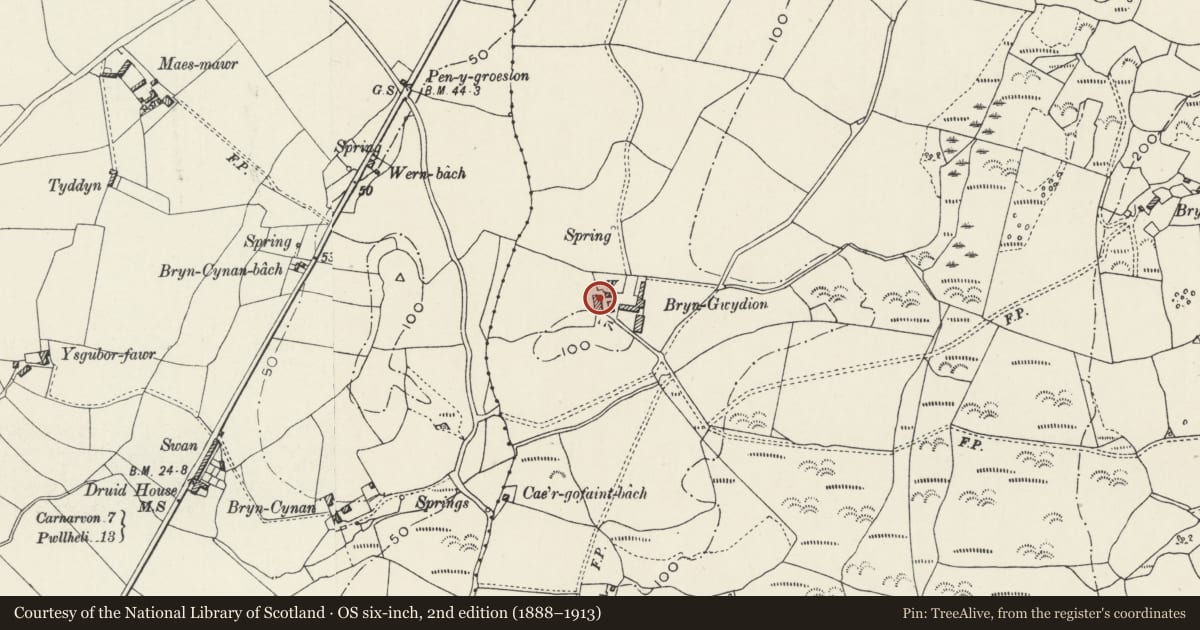 Ordnance Survey six-inch map, 2nd edition (1888–1913) covering the location of Pigsties at Bryngwdion, Llanllyfni, Gwynedd, with a pin at the register's coordinates