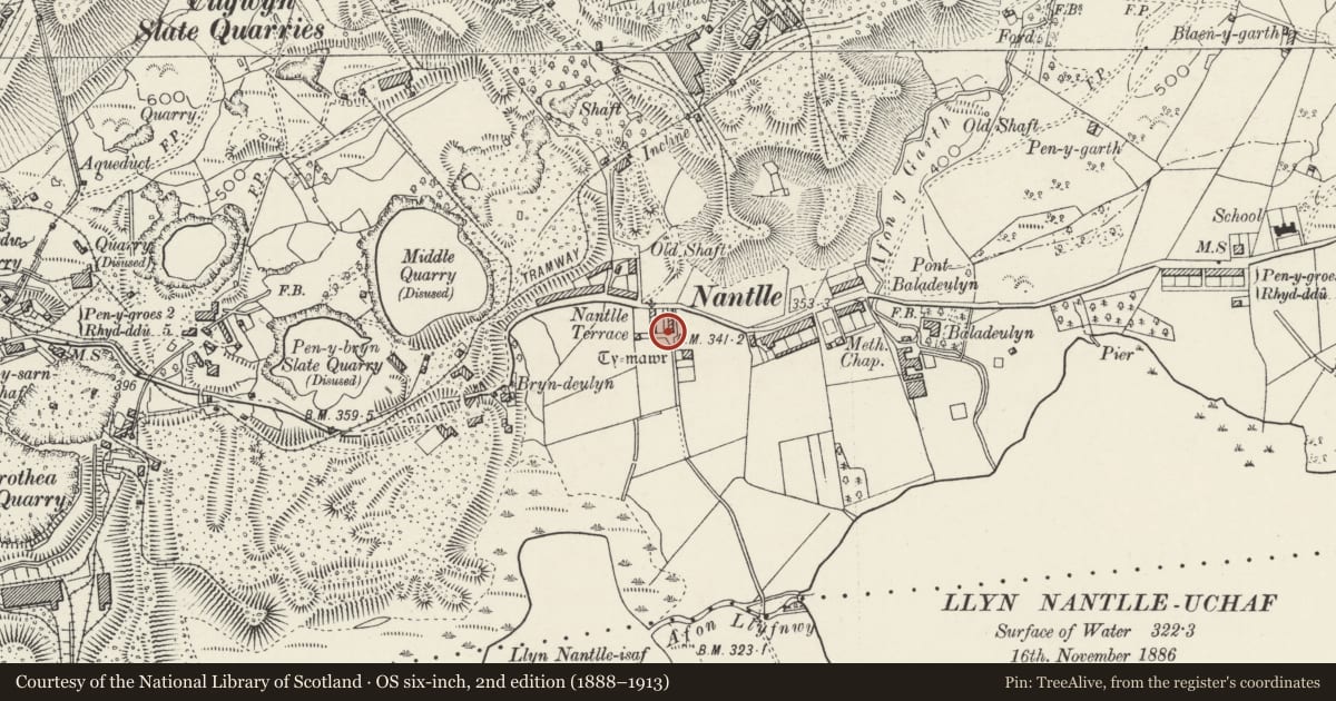 Ordnance Survey six-inch map, 2nd edition (1888–1913) covering the location of West and south ranges of building at former quarrymen's barracks to north-west of Ty Mawr, Llanllyfni, Gwynedd, with a pin at the register's coordinates