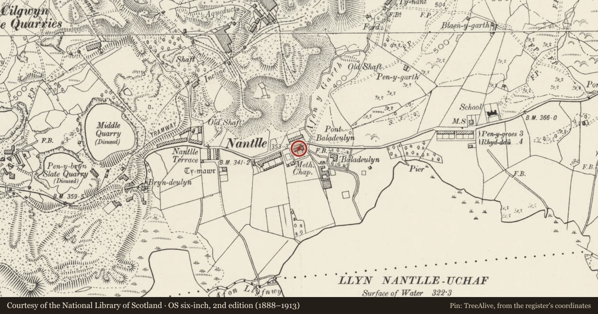 Ordnance Survey six-inch map, 2nd edition (1888–1913) covering the location of Tai Baladeulyn, Llanllyfni, Gwynedd, with a pin at the register's coordinates