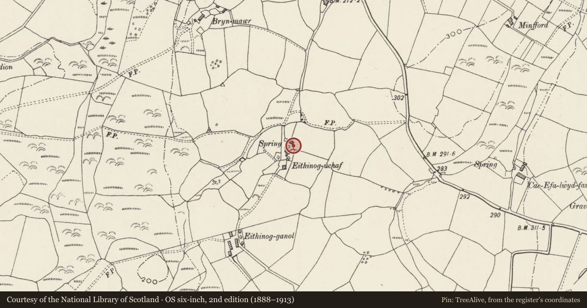 Ordnance Survey six-inch map, 2nd edition (1888–1913) covering the location of Cowhouse at Eithinog-uchaf, Llanllyfni, Gwynedd, with a pin at the register's coordinates