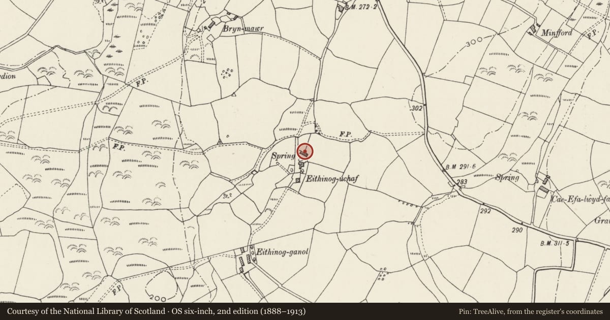 Ordnance Survey six-inch map, 2nd edition (1888–1913) covering the location of Barn and stables at Eithinog-uchaf, Llanllyfni, Gwynedd, with a pin at the register's coordinates