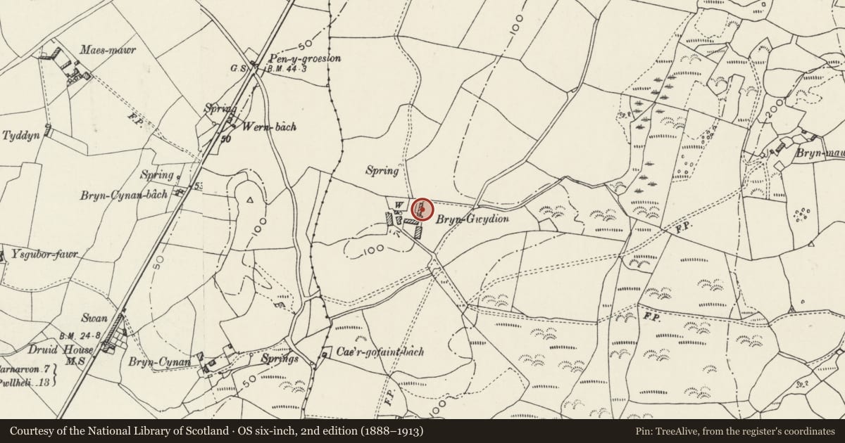 Ordnance Survey six-inch map, 2nd edition (1888–1913) covering the location of Cowhouse at Bryngwdion, Llanllyfni, Gwynedd, with a pin at the register's coordinates
