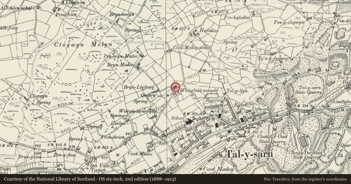 Ordnance Survey six-inch map, 2nd edition (1888–1913) covering the location of Weirglodd-newydd, Llanllyfni, Gwynedd, with a pin at the register's coordinates
