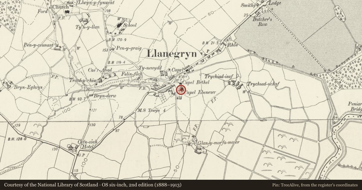 Ordnance Survey six-inch map, 2nd edition (1888–1913) covering the location of Monument to Parch. Hugh Owen, Llanegryn, Gwynedd, with a pin at the register's coordinates