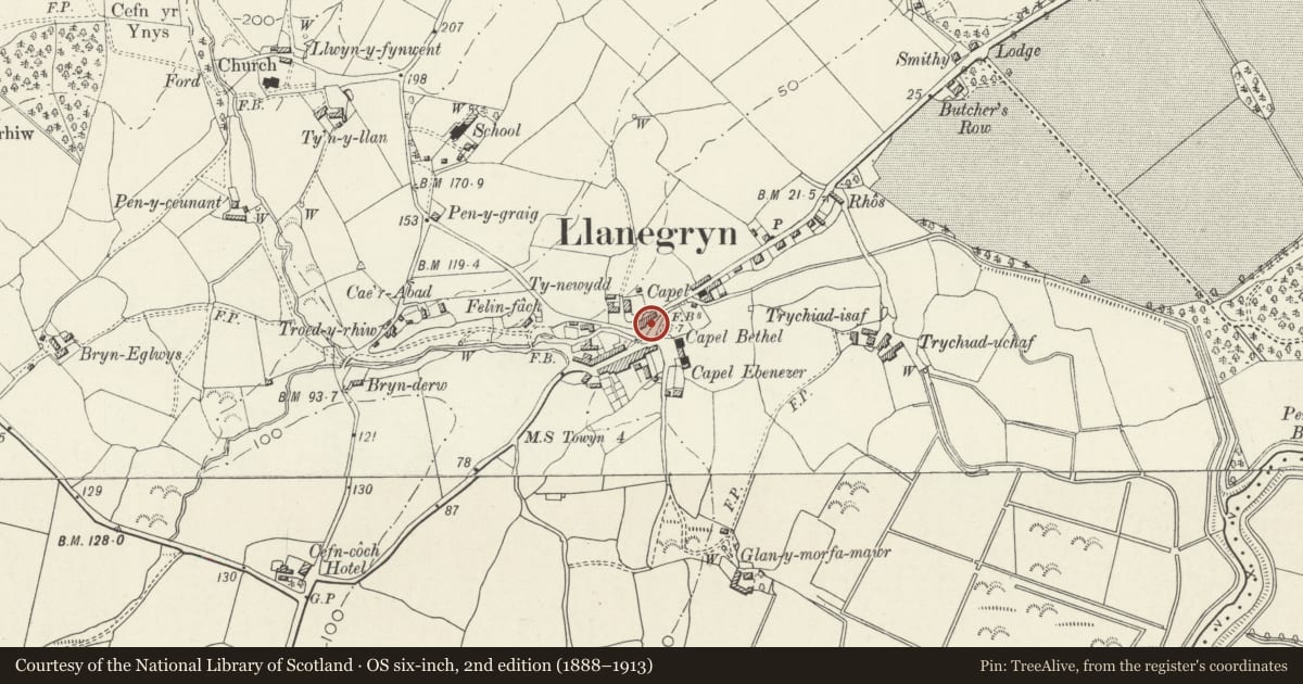 Ordnance Survey six-inch map, 2nd edition (1888–1913) covering the location of Rhine Cottage, Llanegryn, Gwynedd, with a pin at the register's coordinates