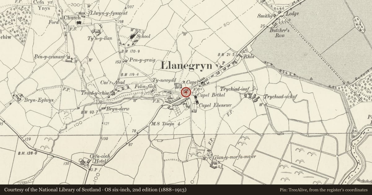 Ordnance Survey six-inch map, 2nd edition (1888–1913) covering the location of Barn at Tynewydd, adjoining Rhine Cottage, Llanegryn, Gwynedd, with a pin at the register's coordinates