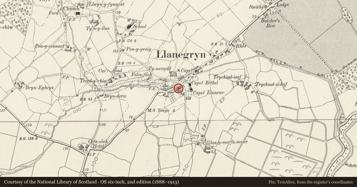 Ordnance Survey six-inch map, 2nd edition (1888–1913) covering the location of Bodegryn, Llanegryn, Gwynedd, with a pin at the register's coordinates