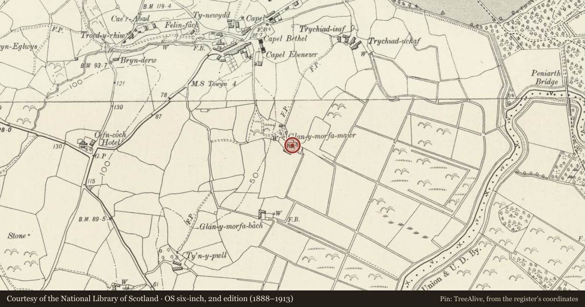 Ordnance Survey six-inch map, 2nd edition (1888–1913) covering the location of Glanymorfa Mawr, Llanegryn, Gwynedd, with a pin at the register's coordinates