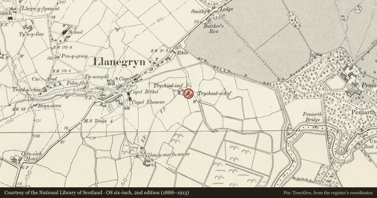 Ordnance Survey six-inch map, 2nd edition (1888–1913) covering the location of Trychiad Uchaf, Llanegryn, Gwynedd, with a pin at the register's coordinates