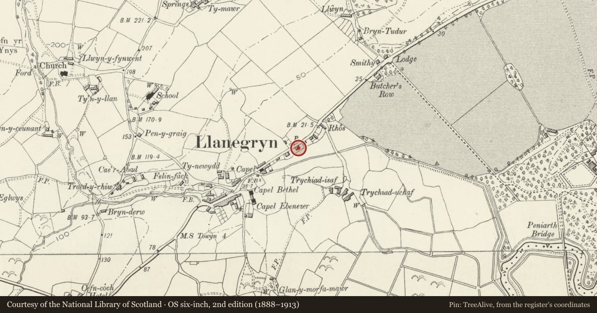 Ordnance Survey six-inch map, 2nd edition (1888–1913) covering the location of Bryn meirion, Llanegryn, Gwynedd, with a pin at the register's coordinates