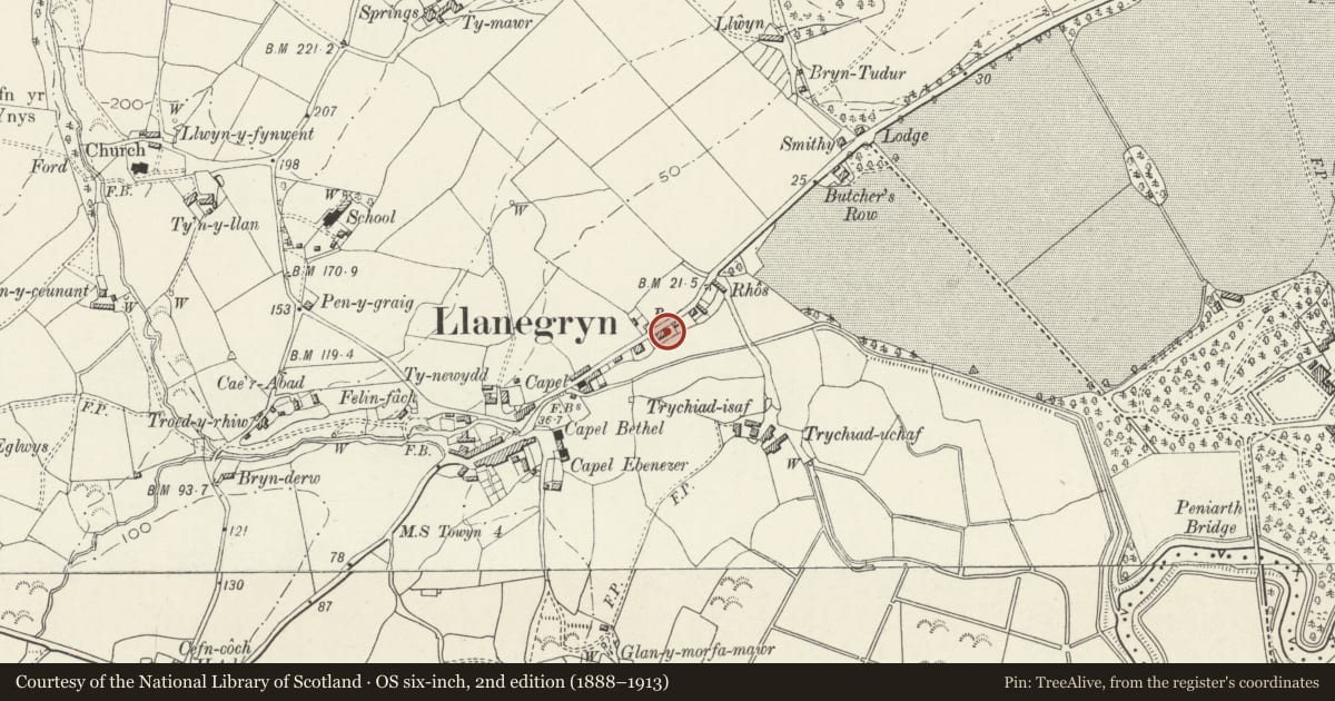 Ordnance Survey six-inch map, 2nd edition (1888–1913) covering the location of Maes y Haf, Llanegryn, Gwynedd, with a pin at the register's coordinates
