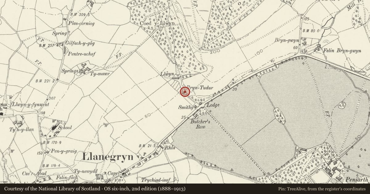Ordnance Survey six-inch map, 2nd edition (1888–1913) covering the location of Bryn Tudur, Llanegryn, Gwynedd, with a pin at the register's coordinates