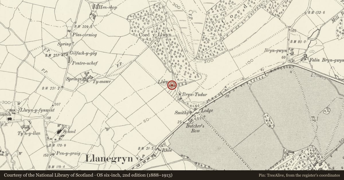 Ordnance Survey six-inch map, 2nd edition (1888–1913) covering the location of Llwyn, Llanegryn, Gwynedd, with a pin at the register's coordinates