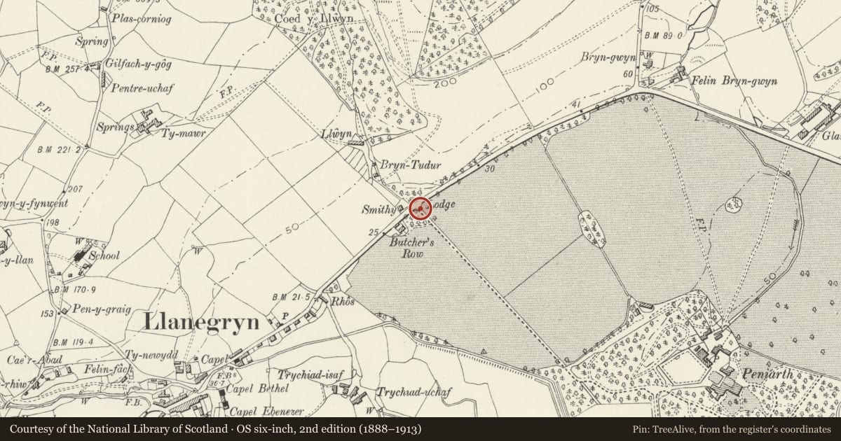 Ordnance Survey six-inch map, 2nd edition (1888–1913) covering the location of Gate piers and gate to Peniarth, Llanegryn, Gwynedd, with a pin at the register's coordinates