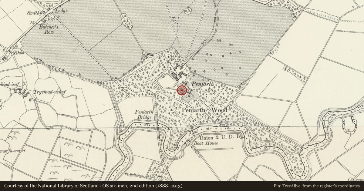 Ordnance Survey six-inch map, 2nd edition (1888–1913) covering the location of Brewery/Laundry range at Peniarth, Llanegryn, Gwynedd, with a pin at the register's coordinates