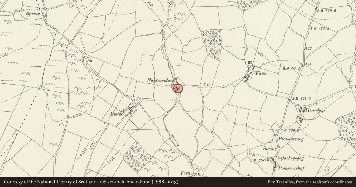 Ordnance Survey six-inch map, 2nd edition (1888–1913) covering the location of Nant Madyn, Llanegryn, Gwynedd, with a pin at the register's coordinates