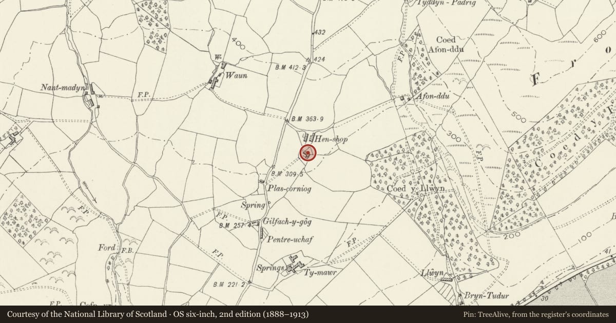 Ordnance Survey six-inch map, 2nd edition (1888–1913) covering the location of Hen siop, with front garden wall, Llanegryn, Gwynedd, with a pin at the register's coordinates