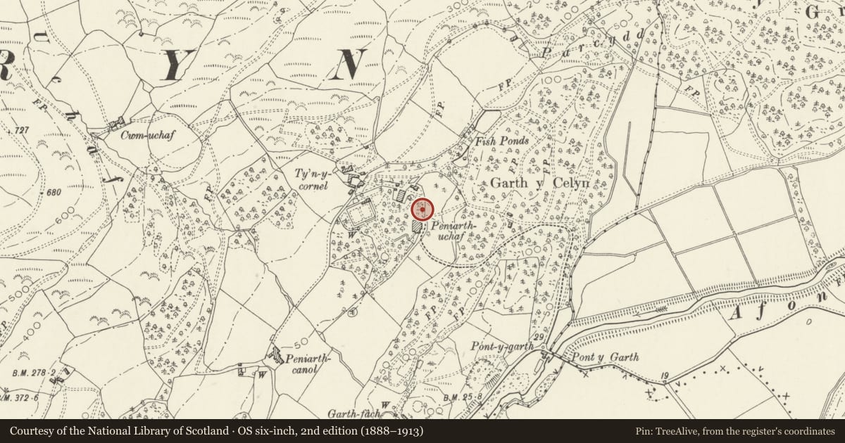Ordnance Survey six-inch map, 2nd edition (1888–1913) covering the location of Game Larder at Peniarth Uchaf, Llanegryn, Gwynedd, with a pin at the register's coordinates
