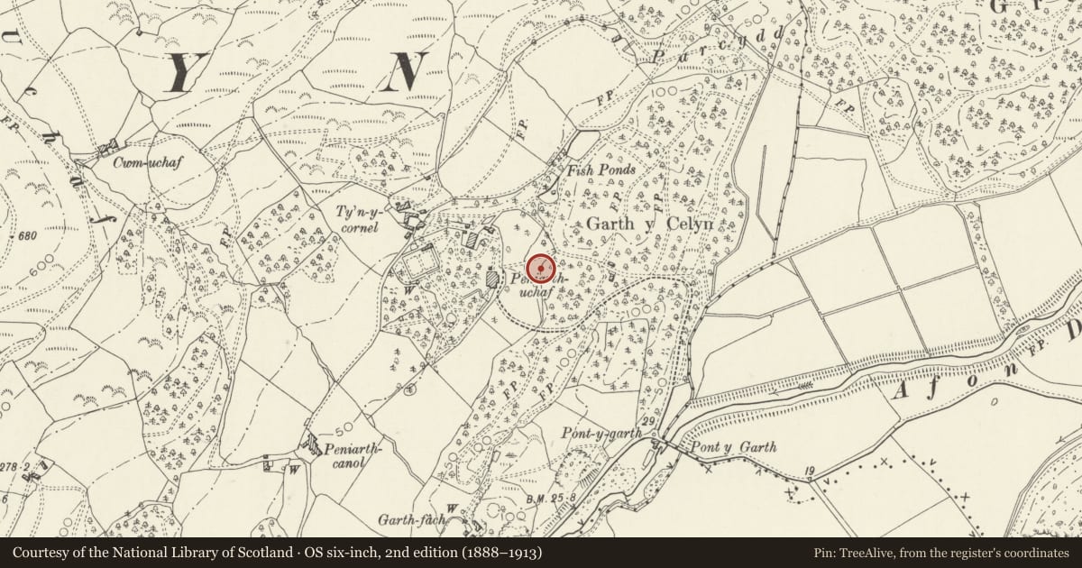 Ordnance Survey six-inch map, 2nd edition (1888–1913) covering the location of Cock Pit at Peniarth Uchaf, Llanegryn, Gwynedd, with a pin at the register's coordinates