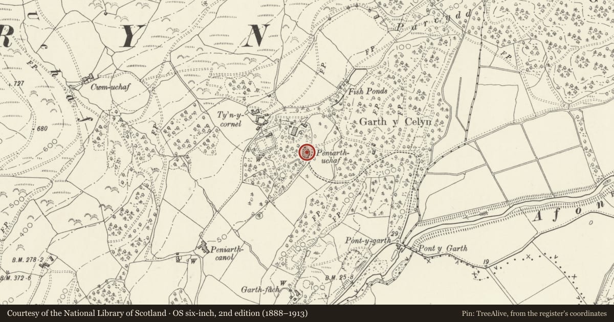 Ordnance Survey six-inch map, 2nd edition (1888–1913) covering the location of Peniarth Uchaf, Llanegryn, Gwynedd, with a pin at the register's coordinates