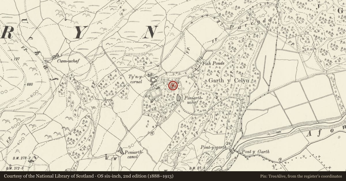 Ordnance Survey six-inch map, 2nd edition (1888–1913) covering the location of Coach-house and Stables at Peniarth Uchaf, Llanegryn, Gwynedd, with a pin at the register's coordinates