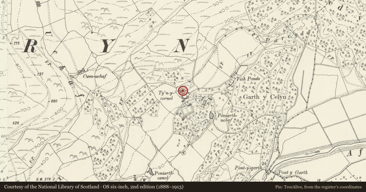 Ordnance Survey six-inch map, 2nd edition (1888–1913) covering the location of Ty'n y Cornel, Llanegryn, Gwynedd, with a pin at the register's coordinates