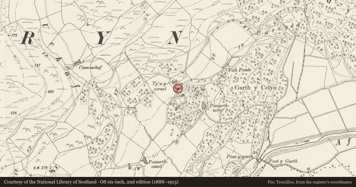 Ordnance Survey six-inch map, 2nd edition (1888–1913) covering the location of Barn and attached farm building at Ty'n y Cornel, Llanegryn, Gwynedd, with a pin at the register's coordinates