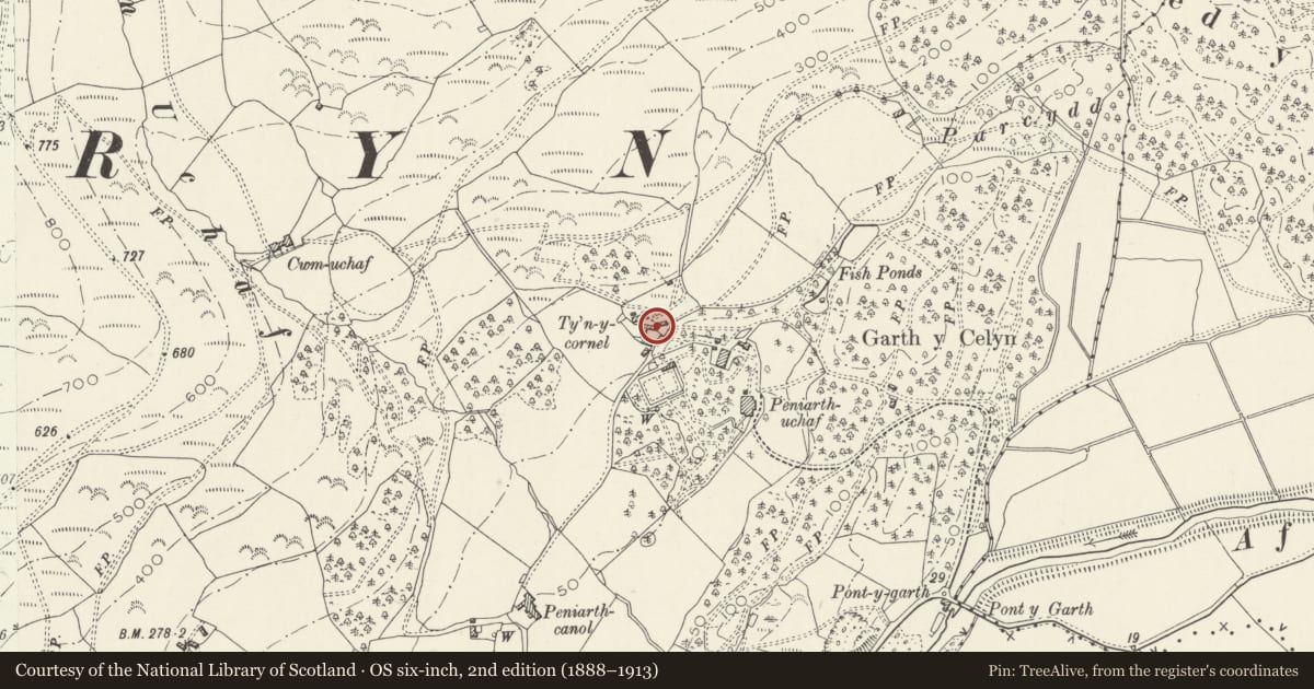 Ordnance Survey six-inch map, 2nd edition (1888–1913) covering the location of North-East range of the farmyard attached to Ty'n y Cornel, Llanegryn, Gwynedd, with a pin at the register's coordinates