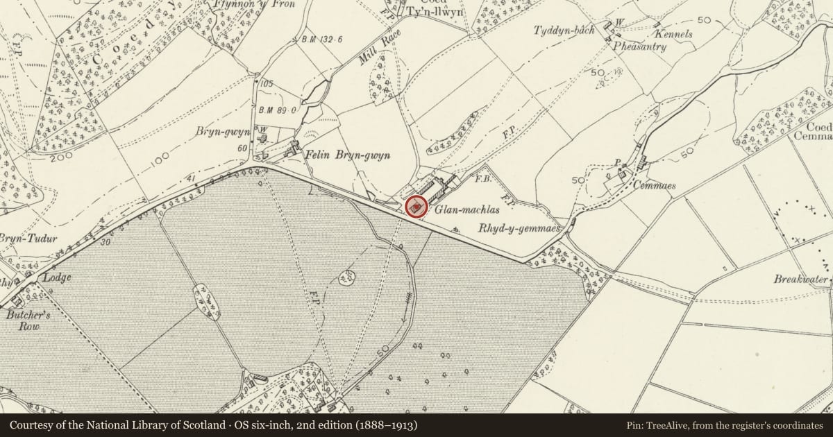 Ordnance Survey six-inch map, 2nd edition (1888–1913) covering the location of Glanmachlas, Llanegryn, Gwynedd, with a pin at the register's coordinates