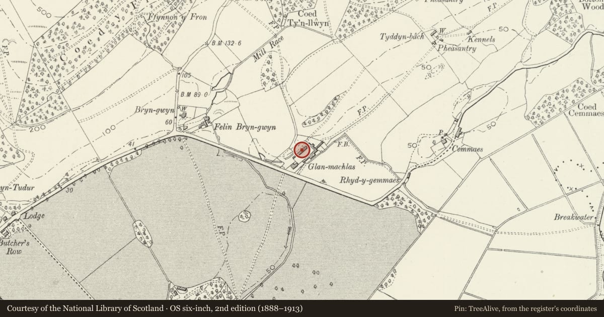 Ordnance Survey six-inch map, 2nd edition (1888–1913) covering the location of Farm range on the NE side of the farmyard at Glanmachlas, Llanegryn, Gwynedd, with a pin at the register's coordinates