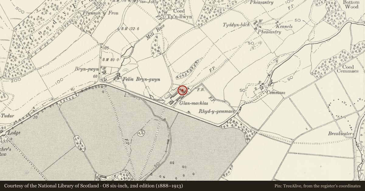 Ordnance Survey six-inch map, 2nd edition (1888–1913) covering the location of Barn in the farmyard at Glanmachlas, Llanegryn, Gwynedd, with a pin at the register's coordinates